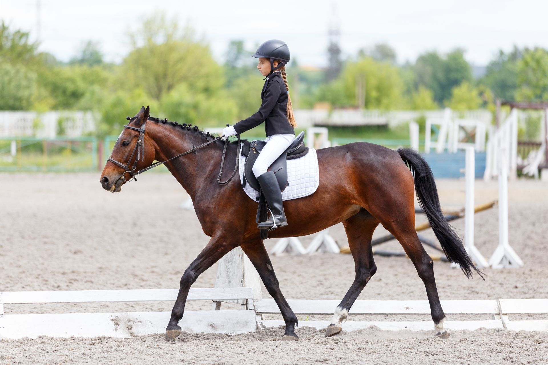 tips for buying horse friendly land/property