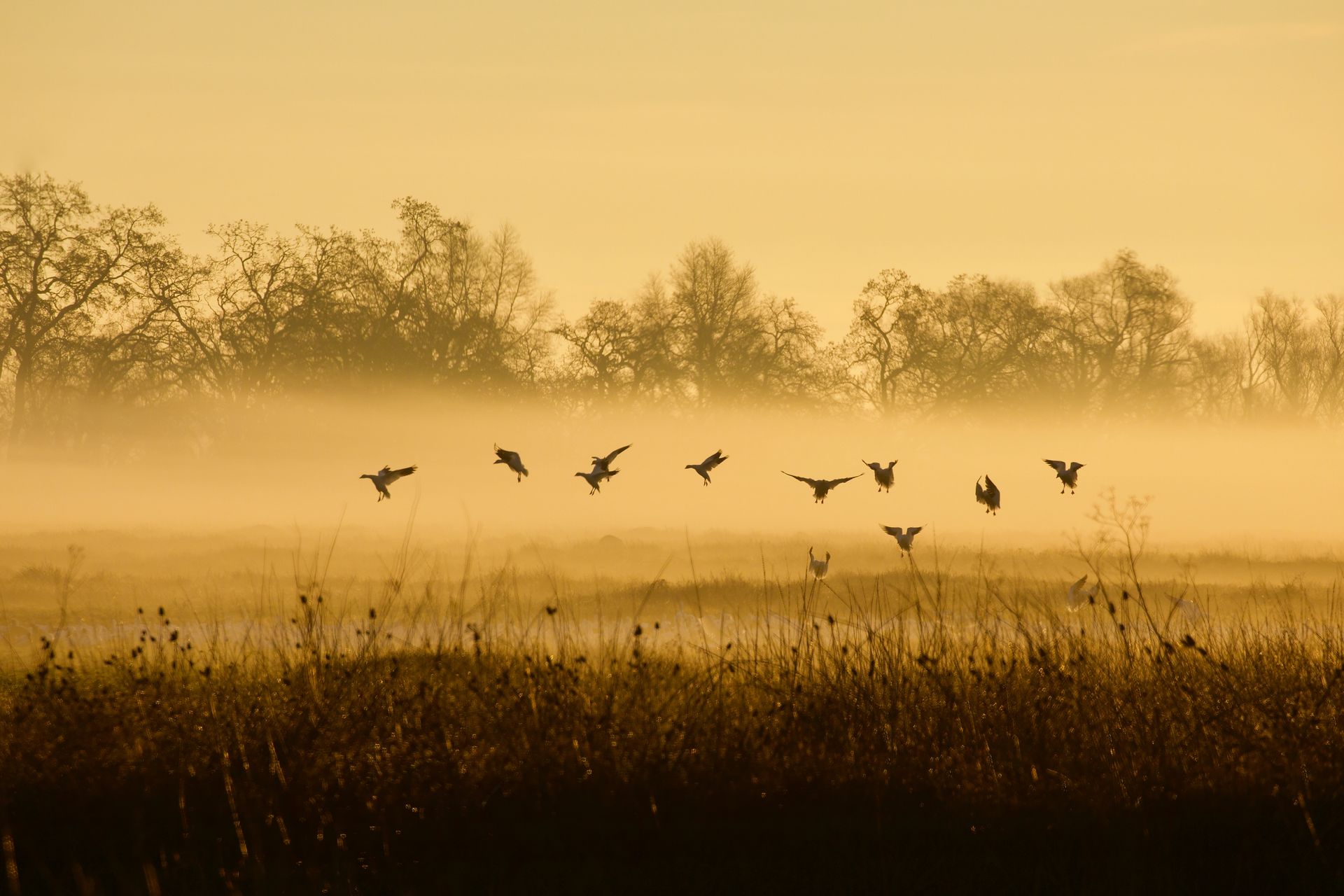 investing in hunting land