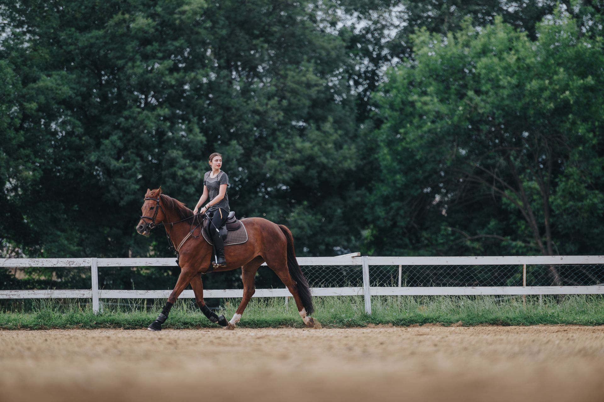 young girl riding a horse
