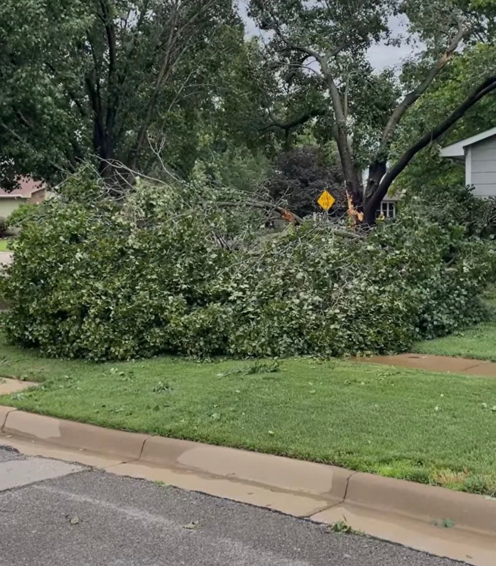 storm ga
