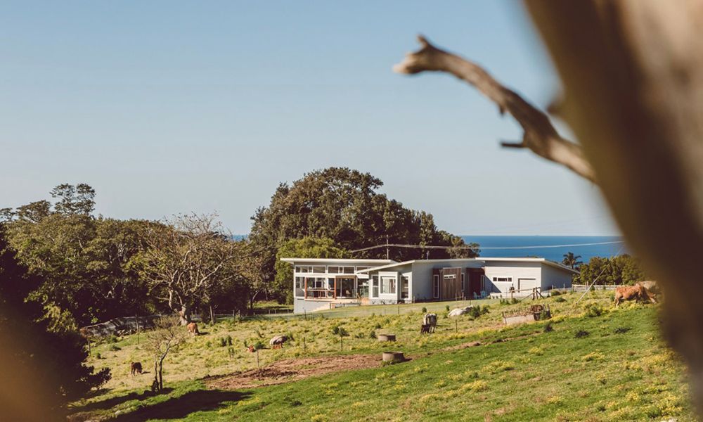 A house is sitting on top of a grassy hill next to the ocean.