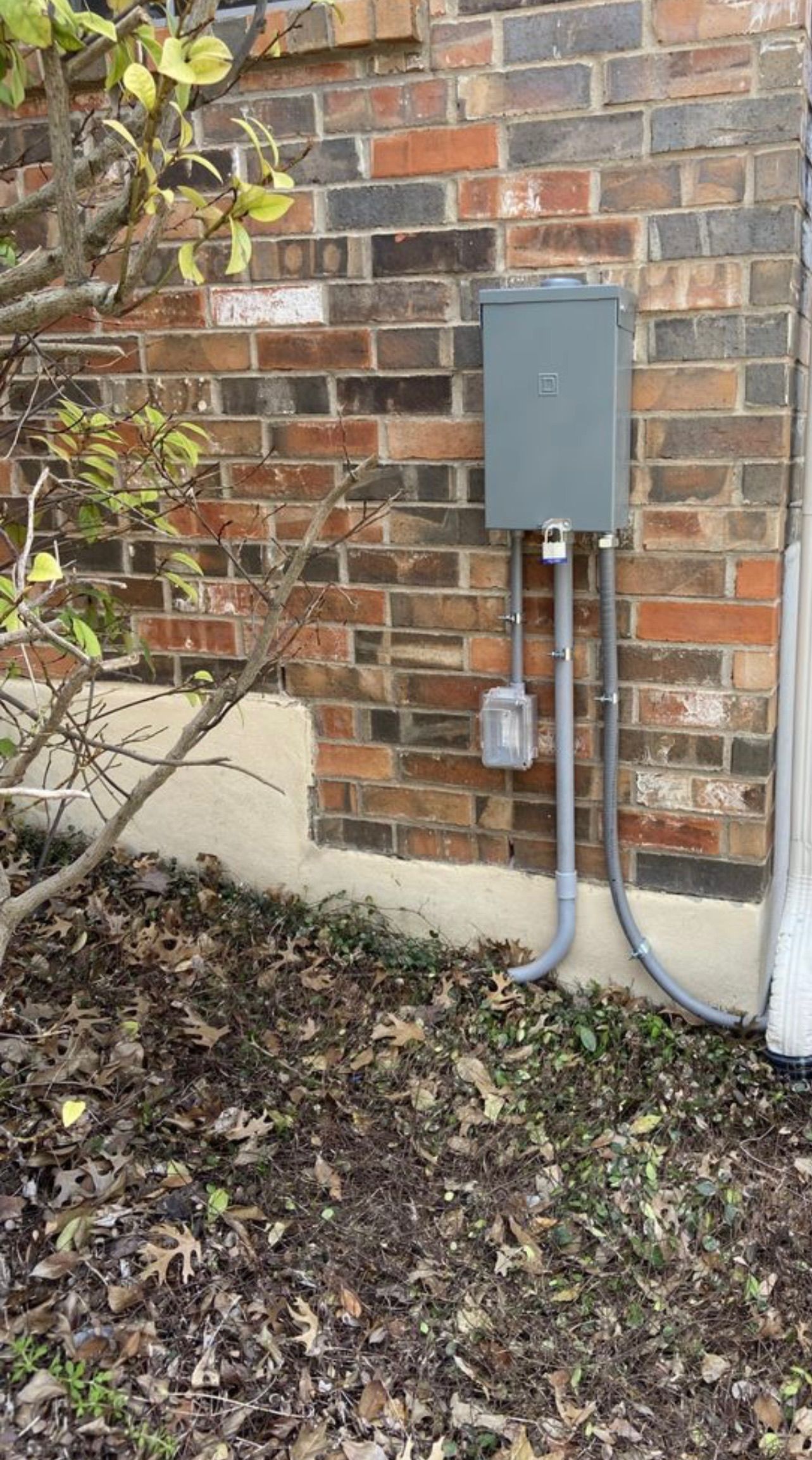 Electrical box mounted on a brick wall with conduit running to an outlet, surrounded by leaves and a shrub.
