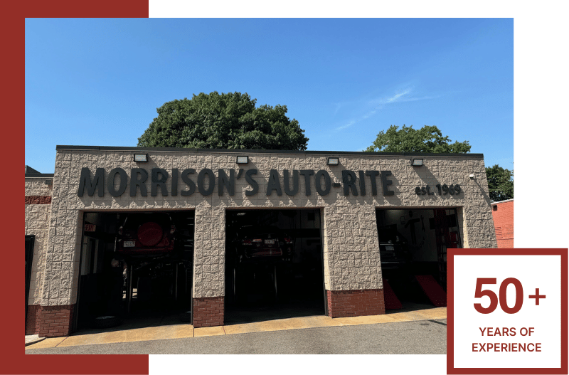 50+ Years of Experience