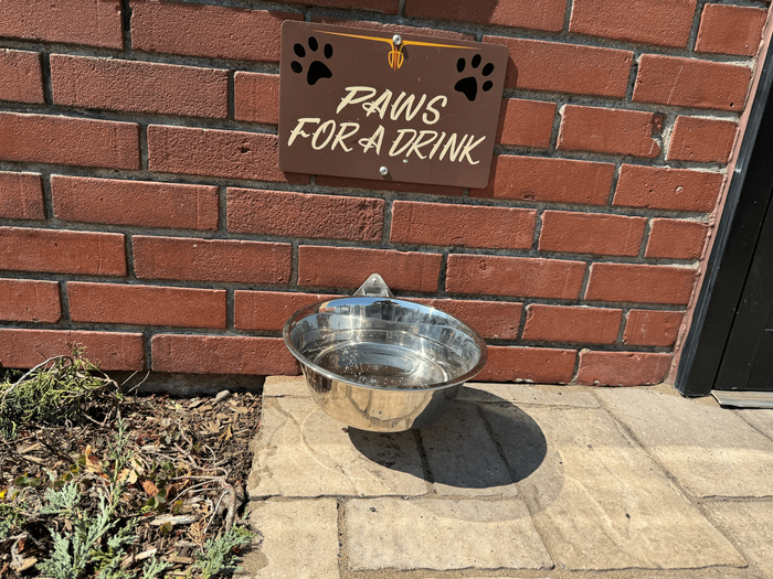 Dog Hydration Station