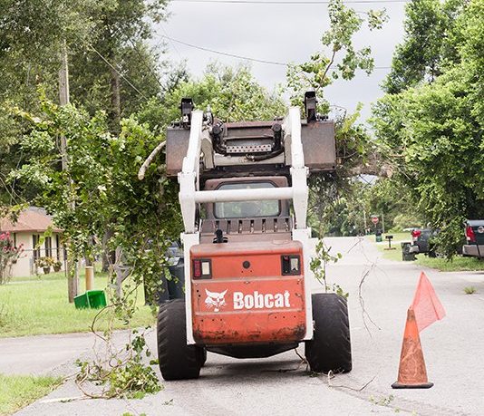 A skid steer is parked in a yard surrounded by trees. A skid steer is parked in a yard surrounded by trees.