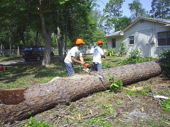A chainsaw is sitting on top of a pile of logs. A chainsaw is sitting on top of a pile of logs.