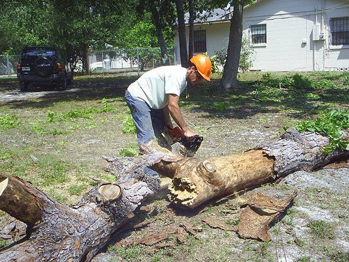 A person is cutting a tree branch with a chainsaw. A person is cutting a tree branch with a chainsaw.