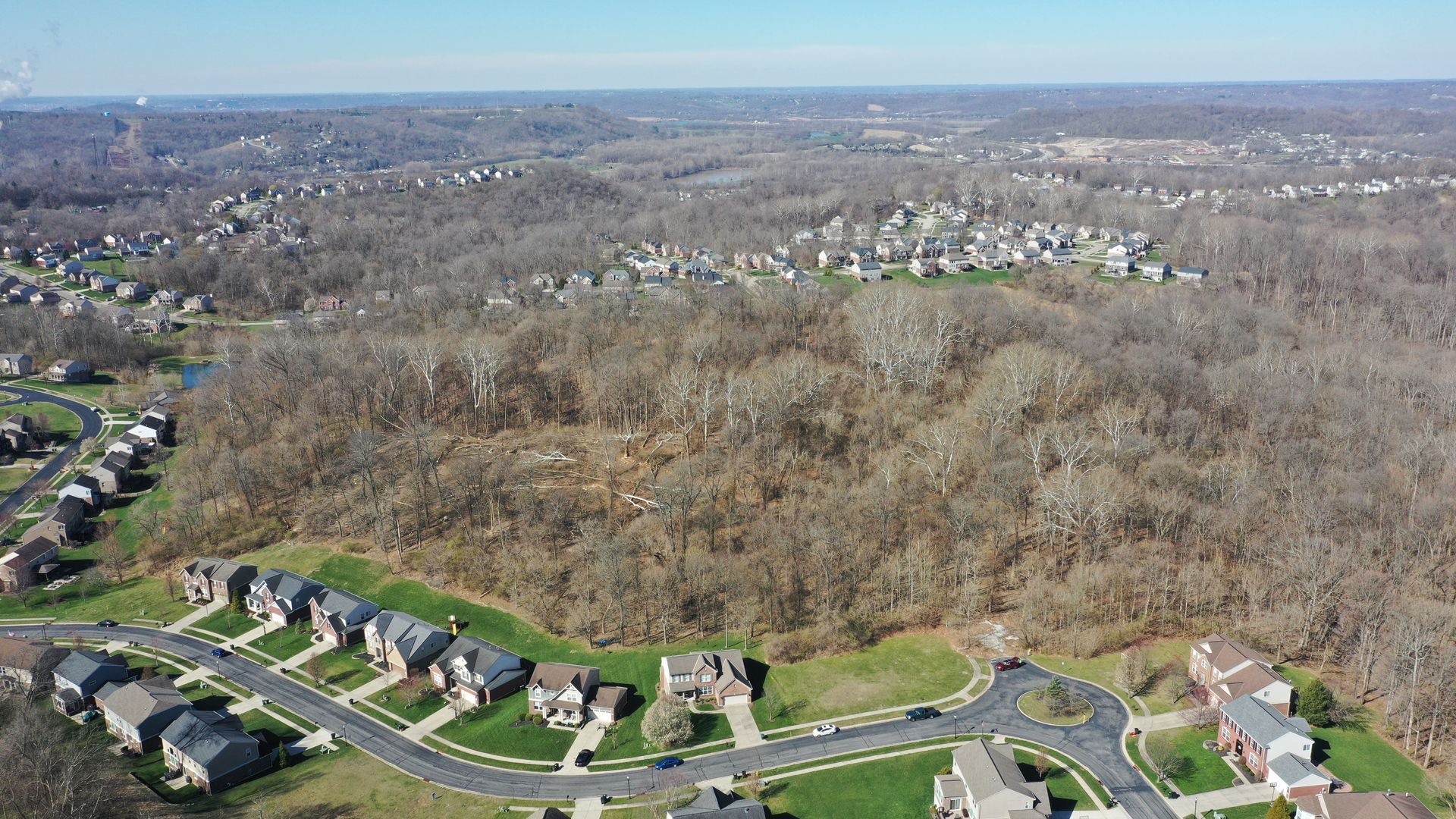 Aerial view of suburban houses bordering a wooded area under a clear, blue sky.