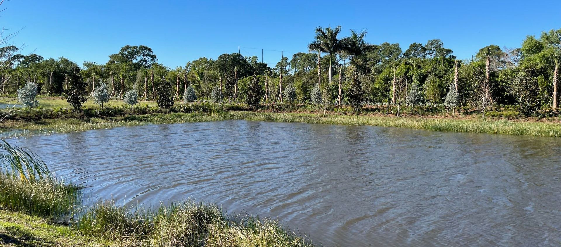 A pond with trees in the background under a blue sky.