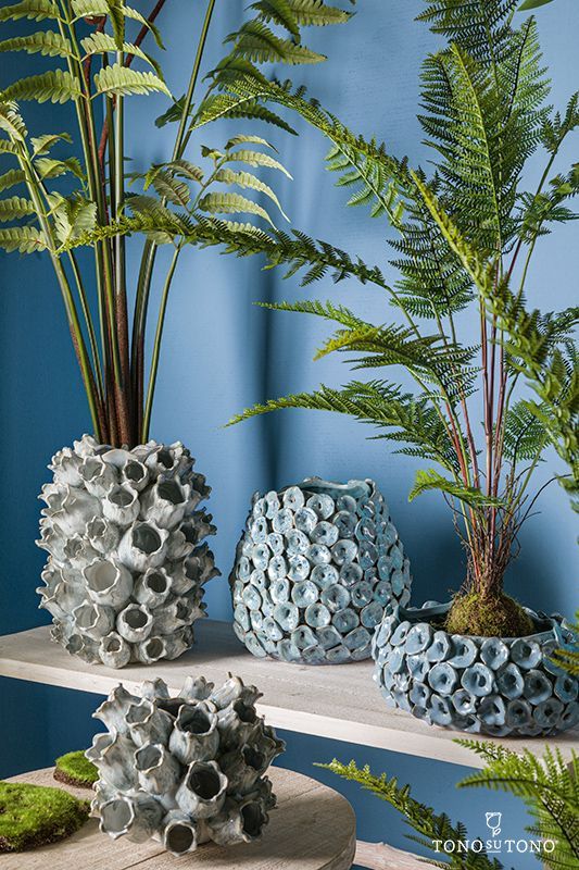 Tre vasi con delle piante al loro interno sono appoggiati su uno scaffale.