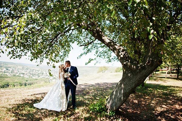 Bride and groom embracing under a large tree in a sunlit outdoor landscape