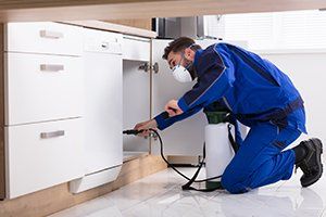 Pest Control — Worker Spraying Pesticide on Cabinet in Glenolden, PA
