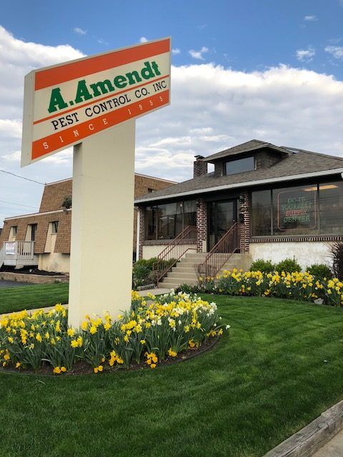 Bird — A. Amendt Signage in Front of Office in Glenolden, PA