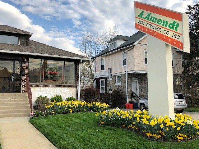 Rat — A. Amendt Business Signage Beside Garage in Glenolden, PA