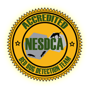 NESDCA