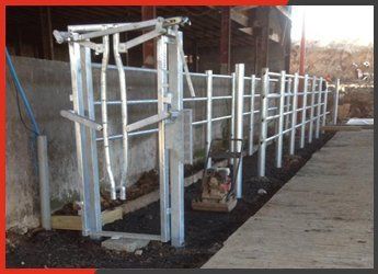 Cattle grids