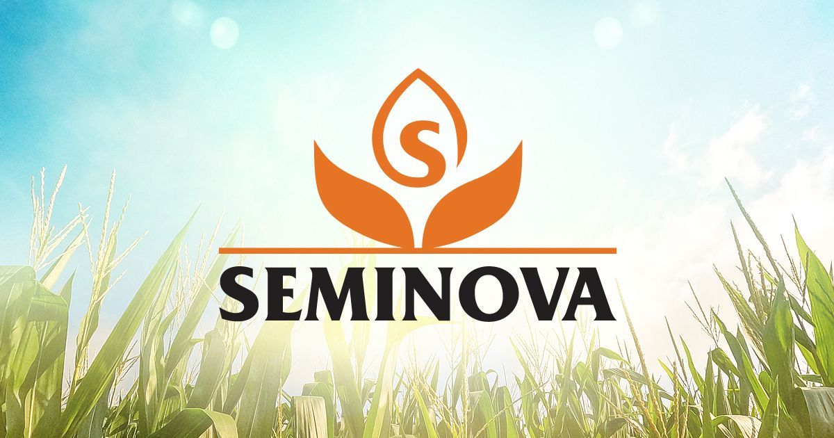 SEMINOVA