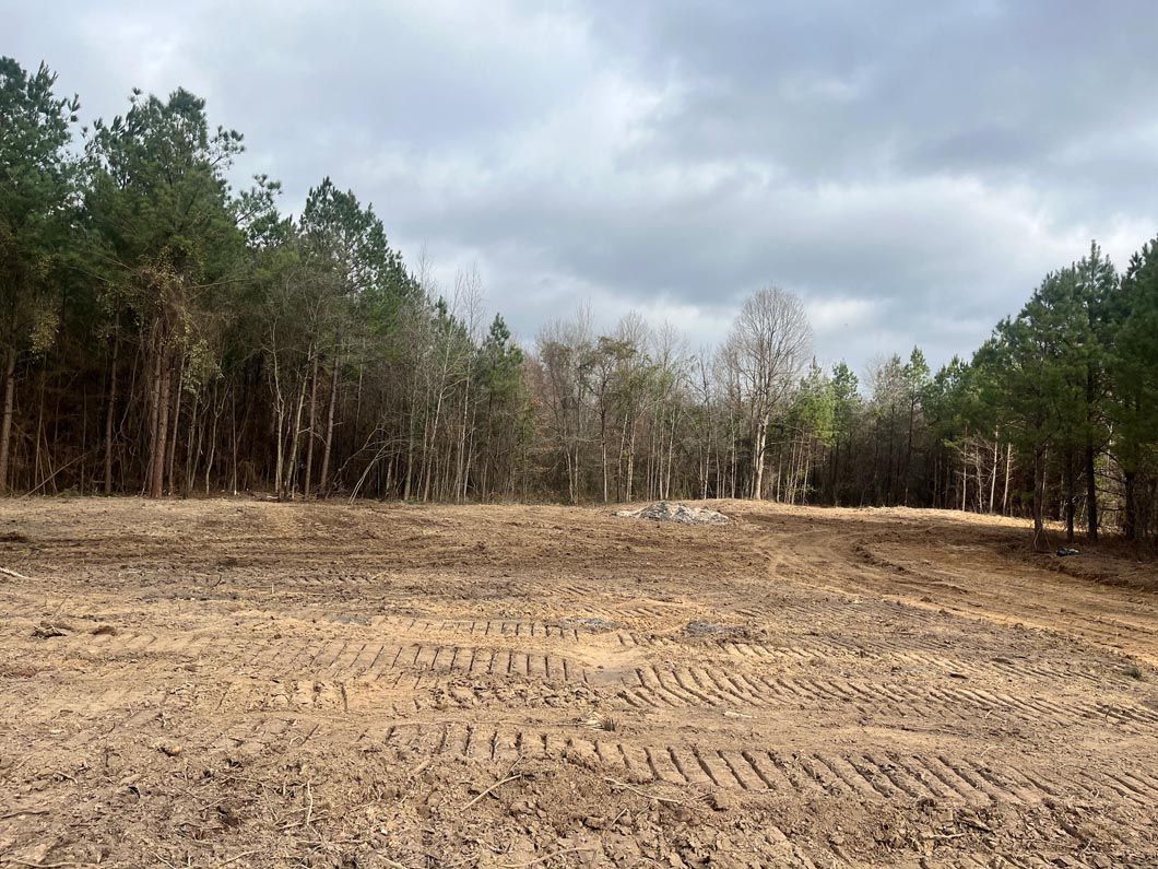 A dirt field with trees in the background and a cloudy sky.