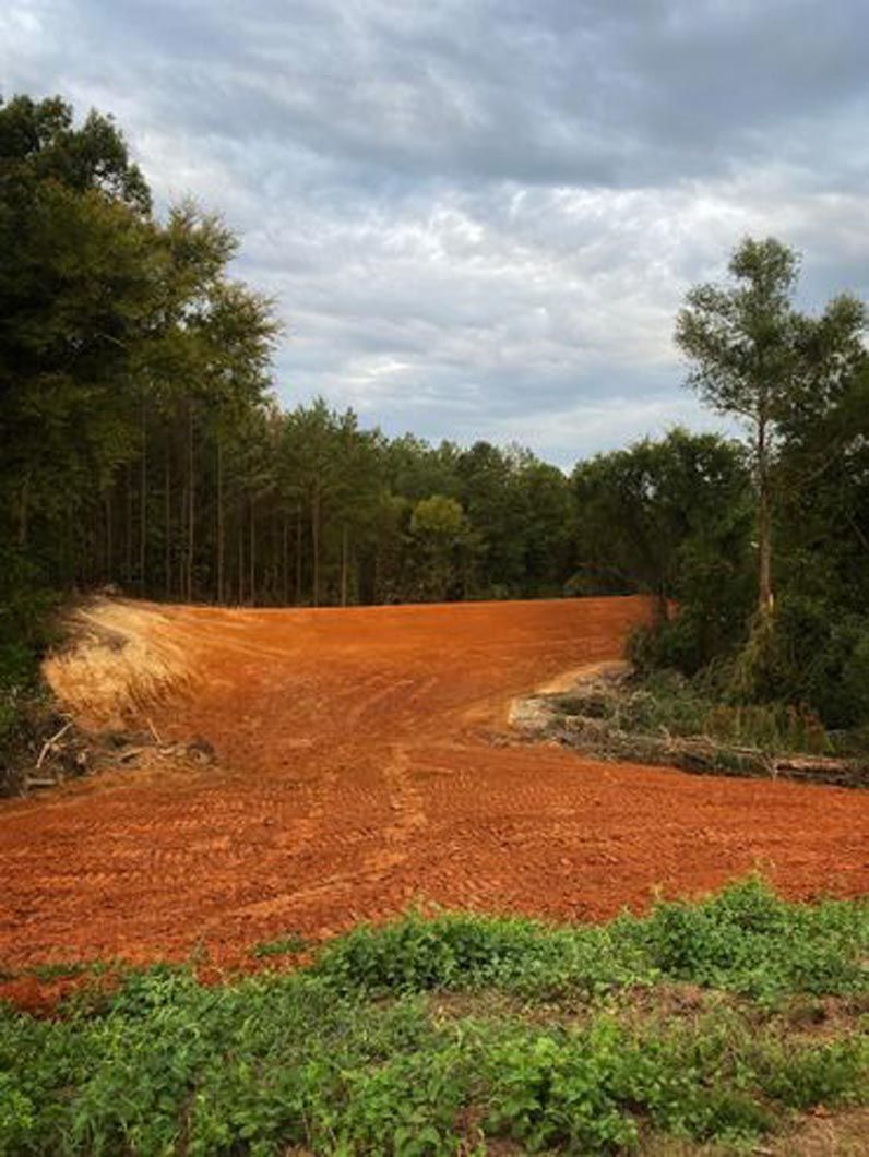 A dirt road going through a field with trees in the background.