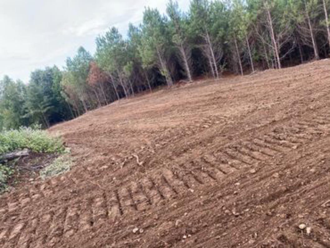 A dirt field with trees in the background and tire tracks in the dirt.