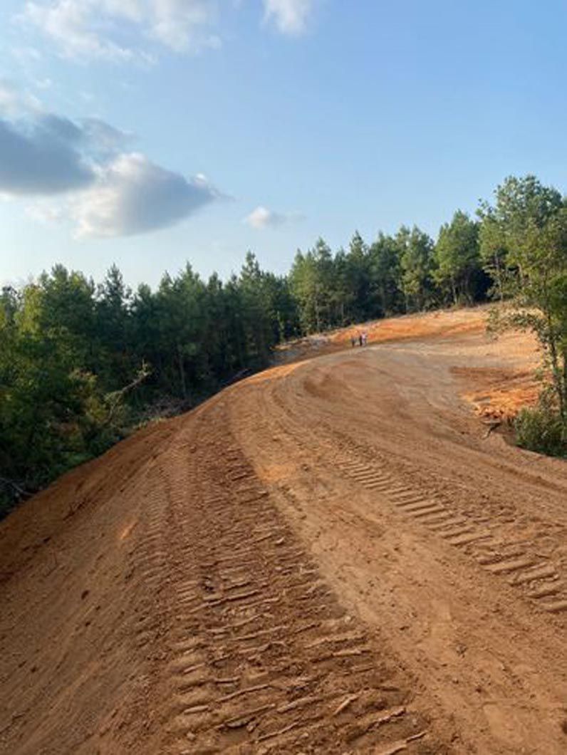 A dirt road going through a forest on a sunny day.