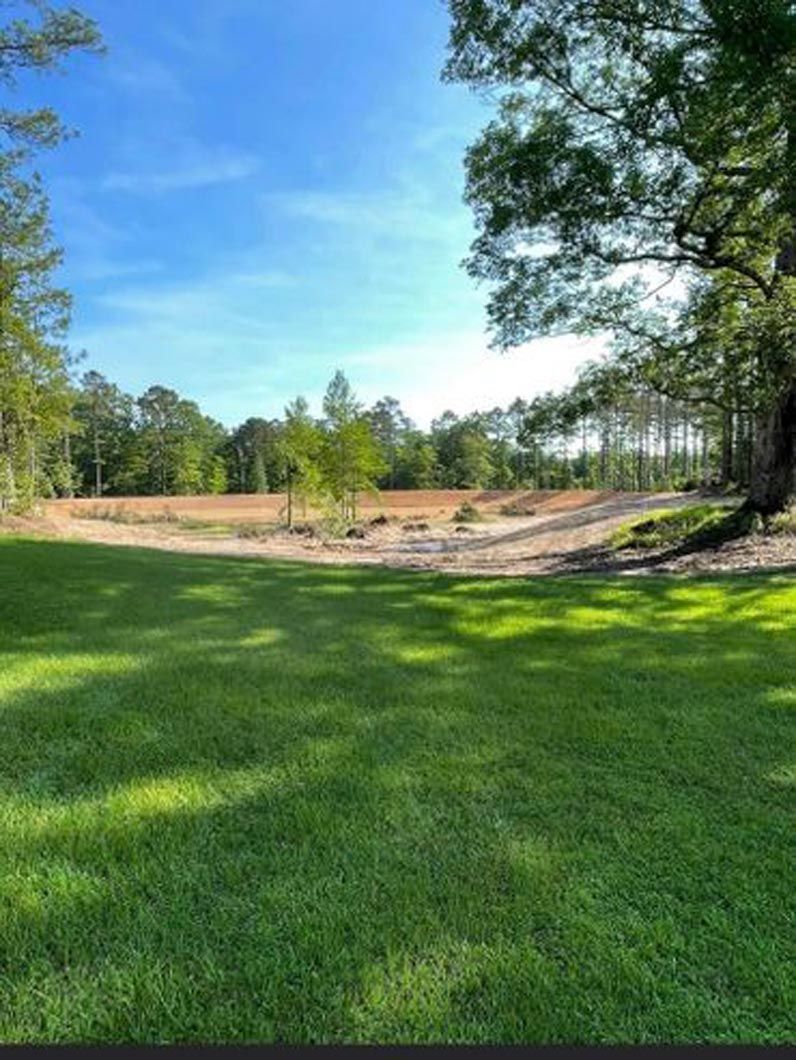 A lush green field with trees and a dirt road in the background.