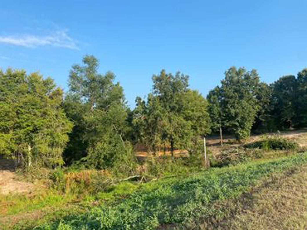 A fenced in area with trees and grass on a sunny day.