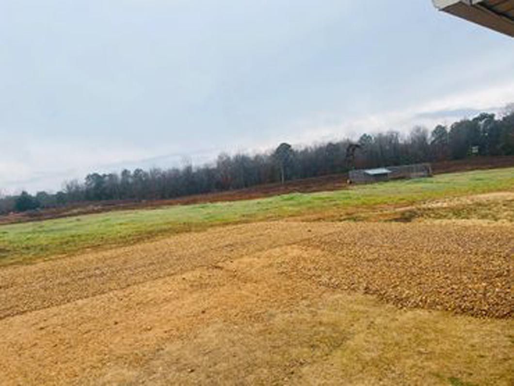 A large grassy field with trees in the background on a cloudy day.