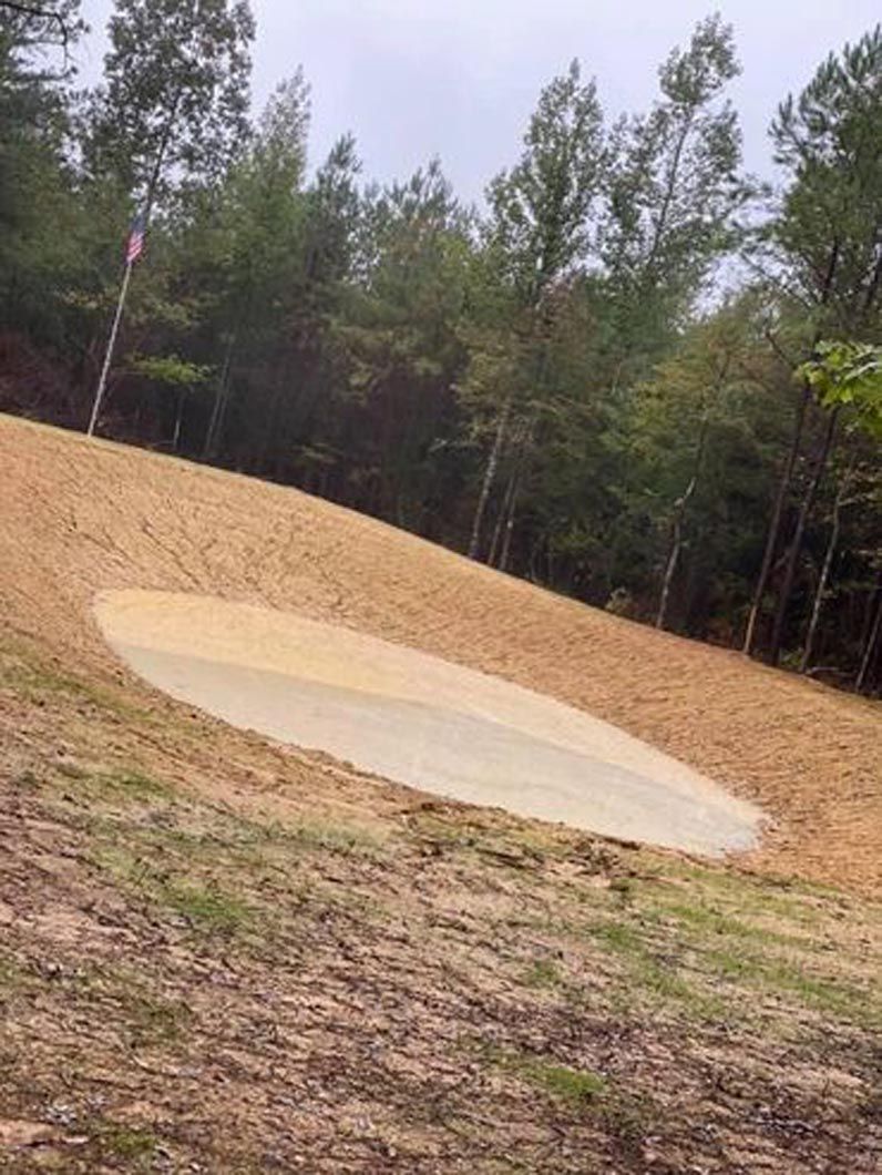 A frisbee is sitting on top of a dirt hill in the middle of a forest.
