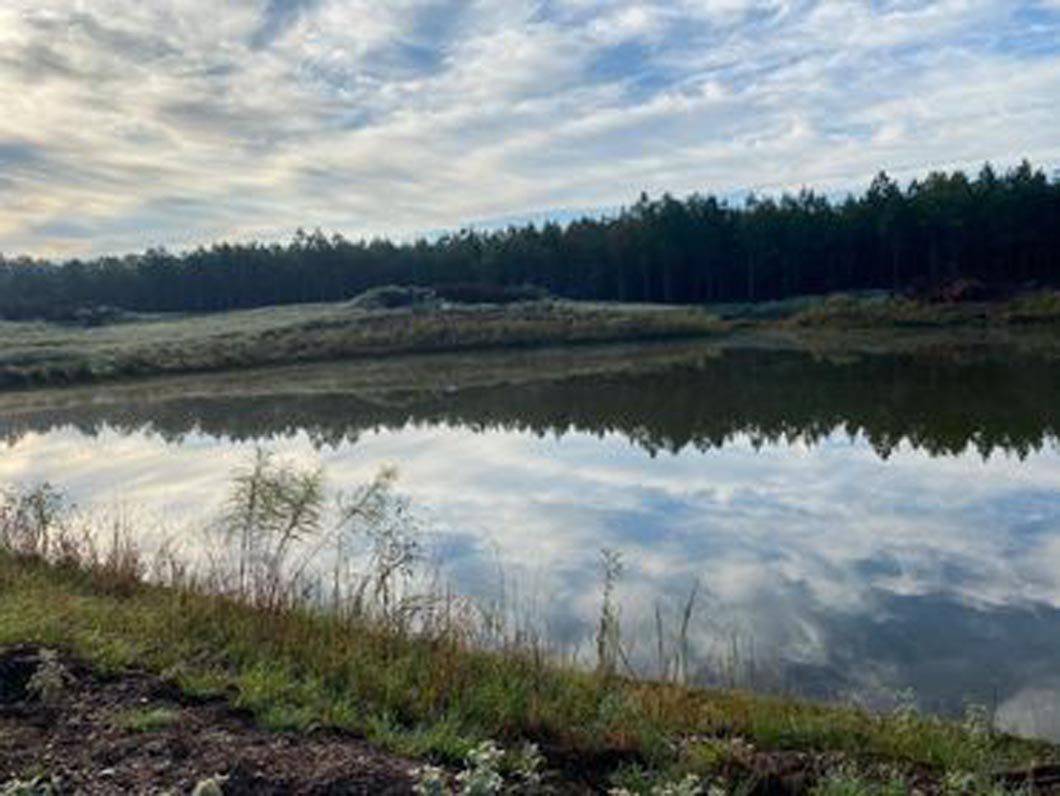 A lake with trees in the background and a cloudy sky reflected in the water.