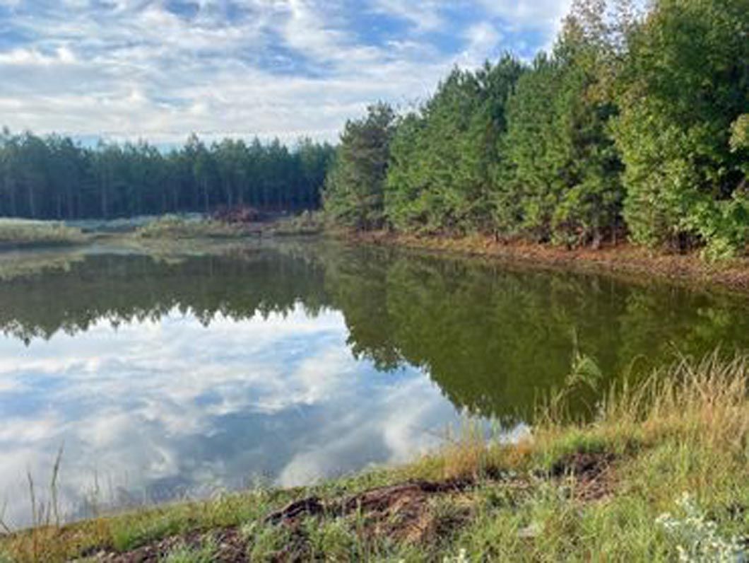 A large body of water surrounded by trees on a sunny day.