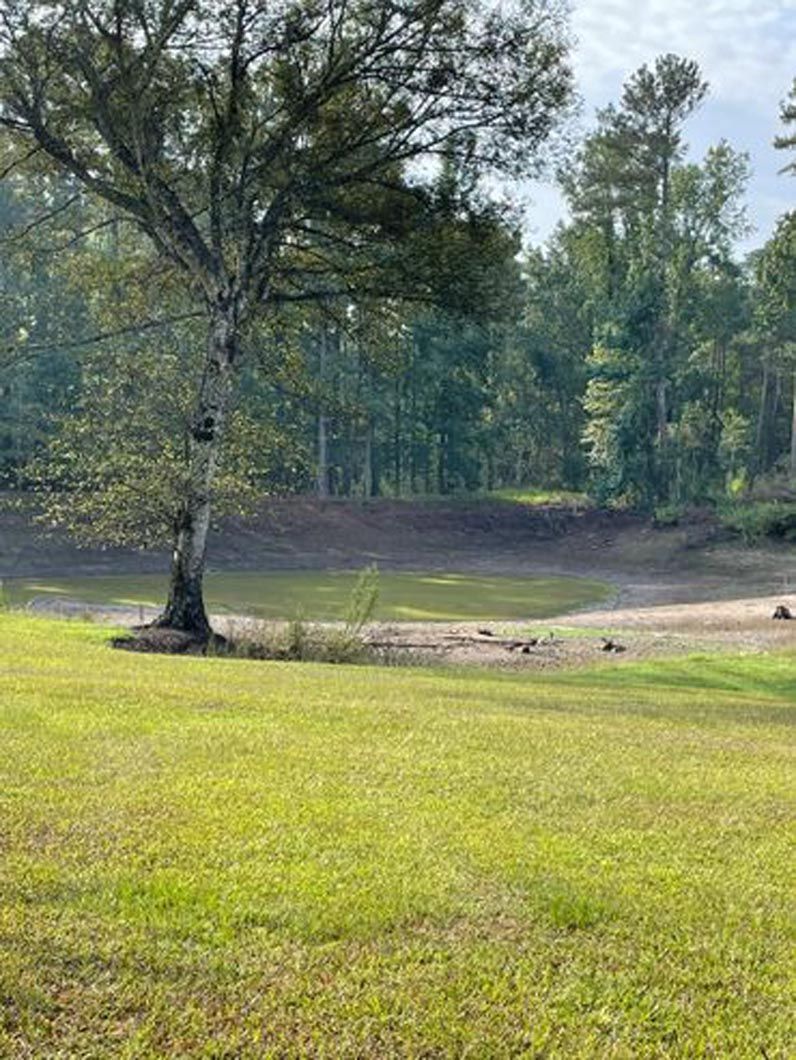 A large lush green field with trees and a lake in the background.