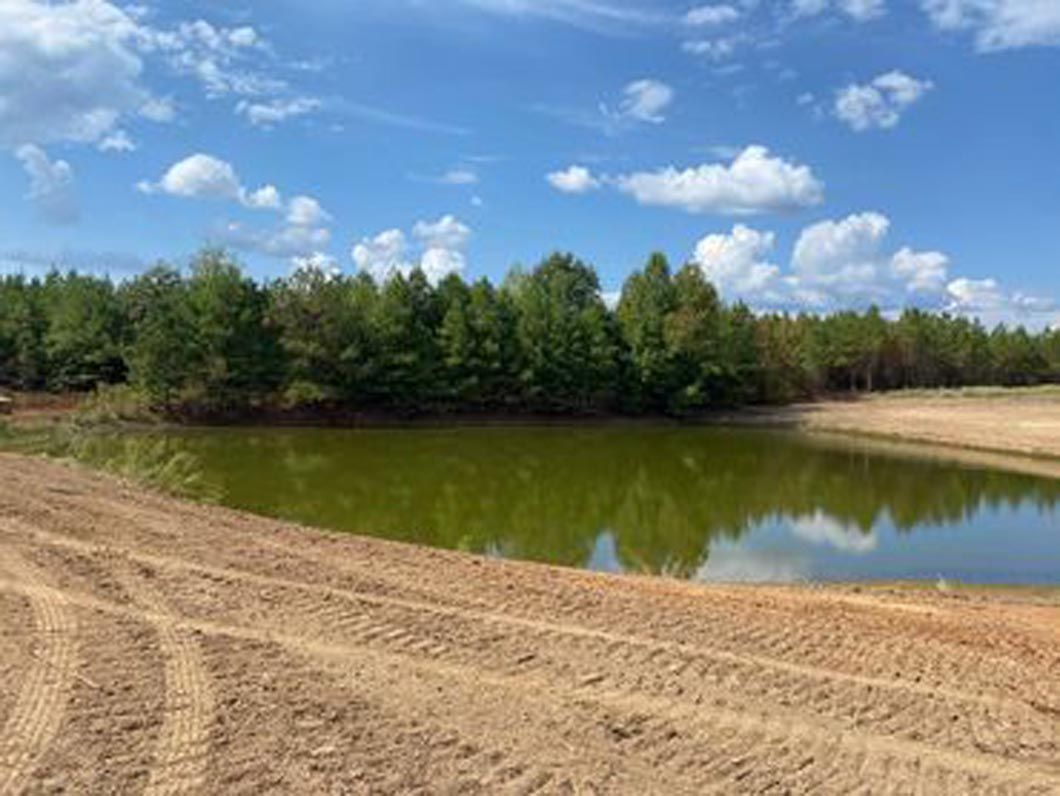 A small pond in the middle of a dirt field with trees in the background.