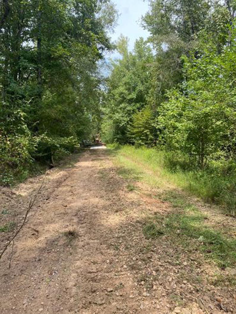 A dirt road in the middle of a forest with trees on both sides.