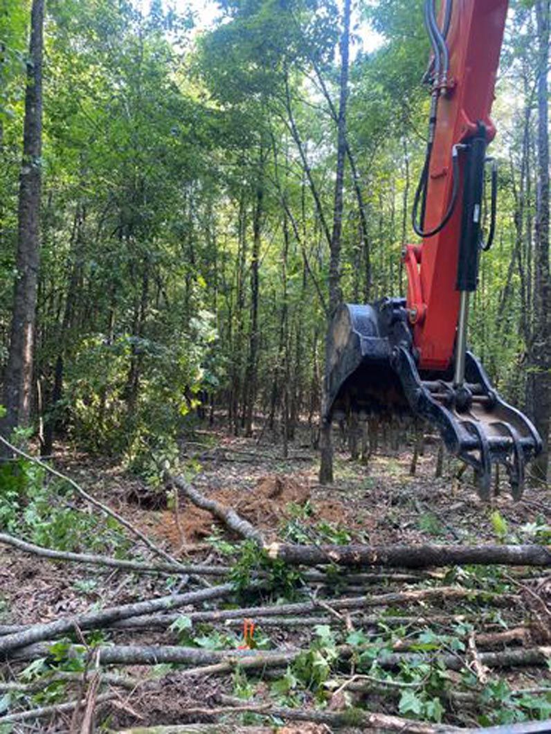 An excavator is digging a hole in the middle of a forest.