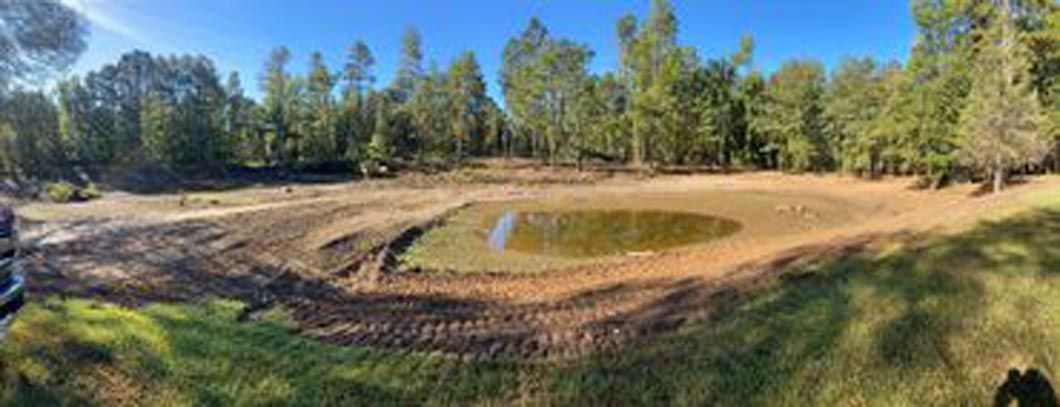 A small pond in the middle of a field with trees in the background.