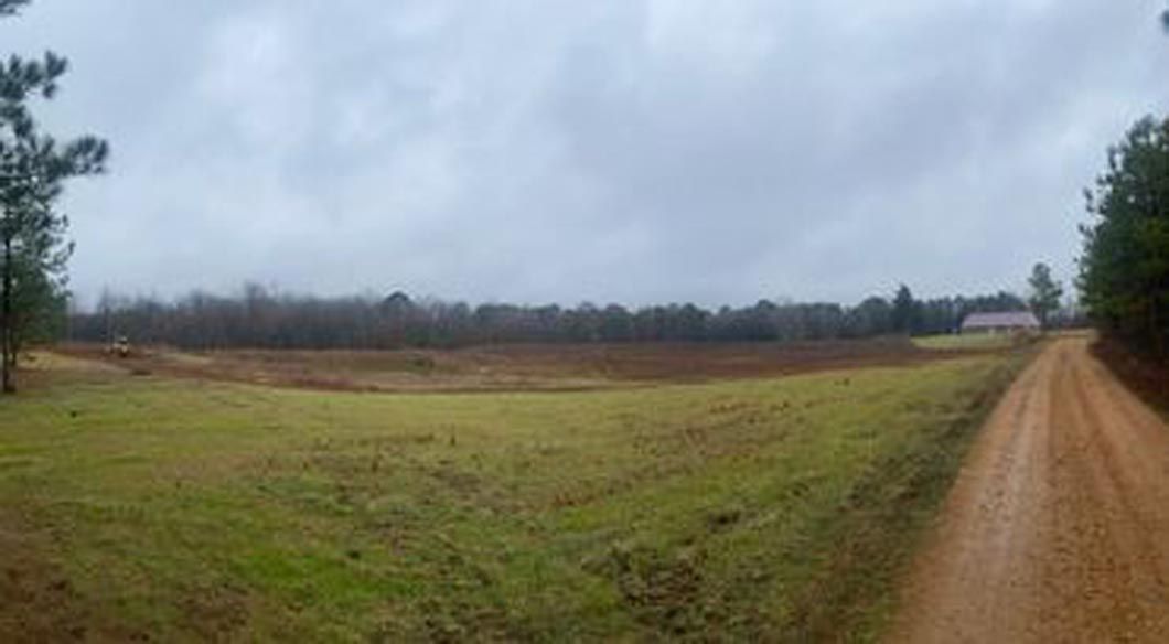A dirt road going through a grassy field on a cloudy day.
