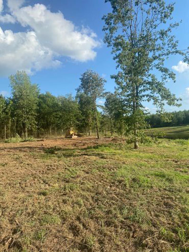 A dirt field with trees and a blue sky in the background.