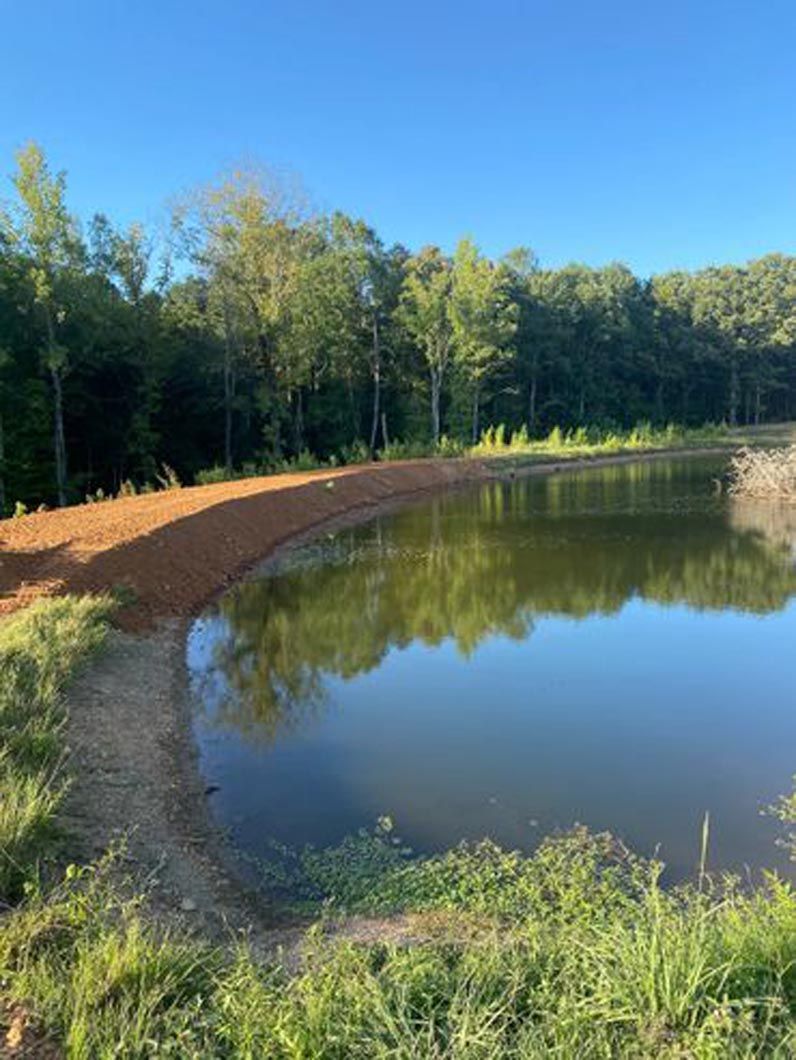 A small pond surrounded by trees on a sunny day.