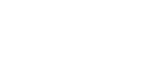 Blank white image.