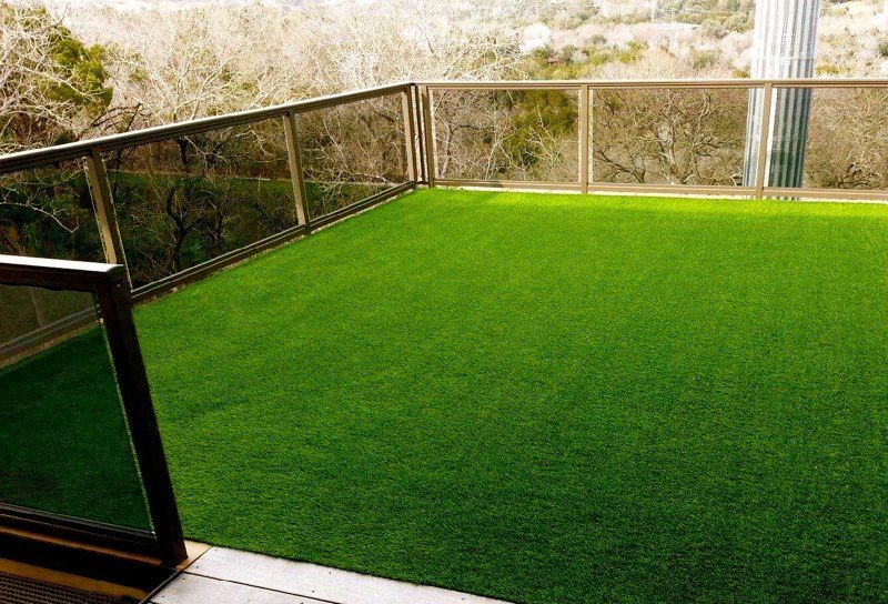 A garden filled with lots of plants and flowers.