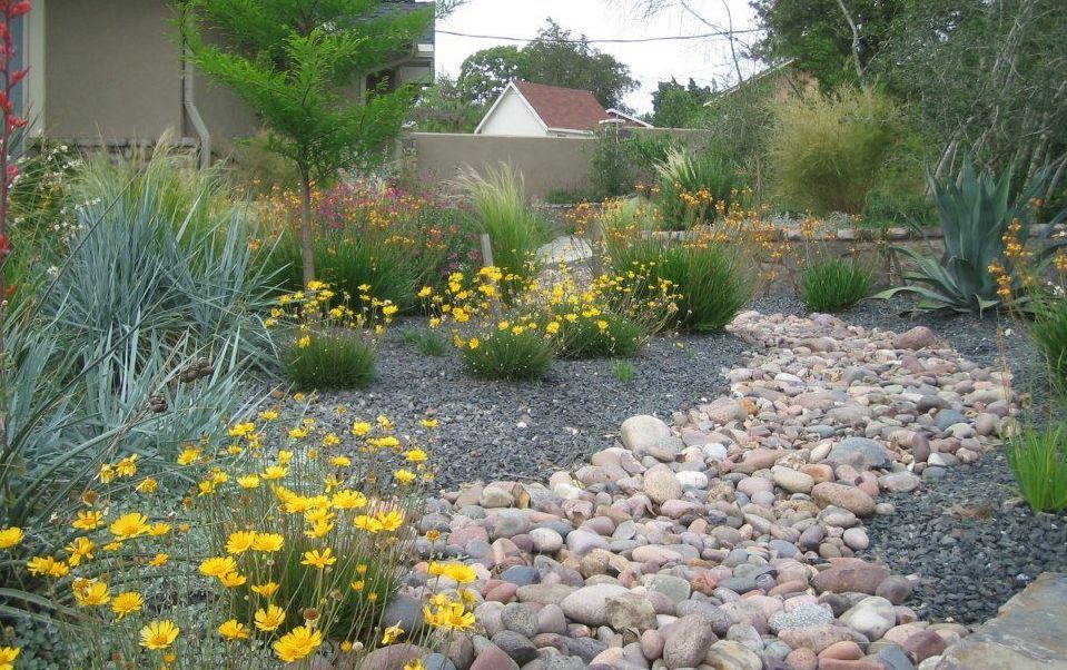 A garden with yellow flowers and rocks in it