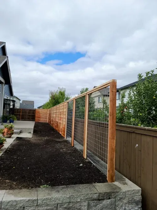 A wooden fence is surrounding a garden in a backyard.