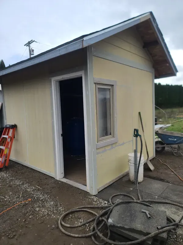 A small yellow shed with a window and a ladder in front of it.