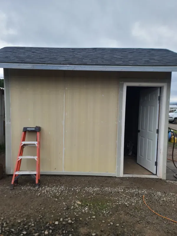 A ladder is leaning against the side of a shed.