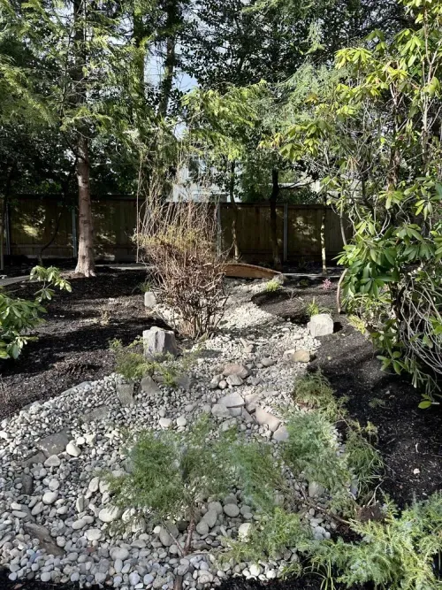 A backyard filled with rocks and trees with a fence in the background.