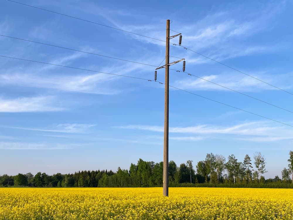 Power Line Pole in the Middle of Yellow Flower Field — Seaview Excavations in Hallidays Point, NSW