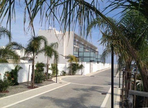 Una strada con palme e un edificio sullo sfondo