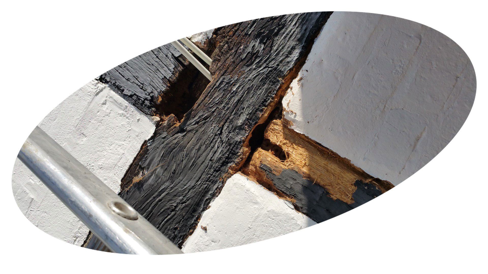 View of a wet rot ceiling