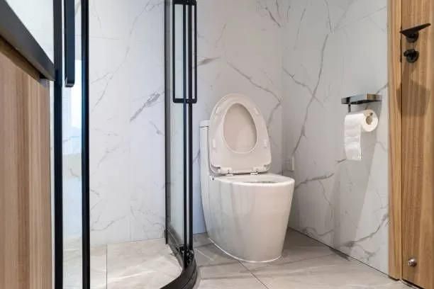 Toilet in modern bathroom with marble wall and wooden door.